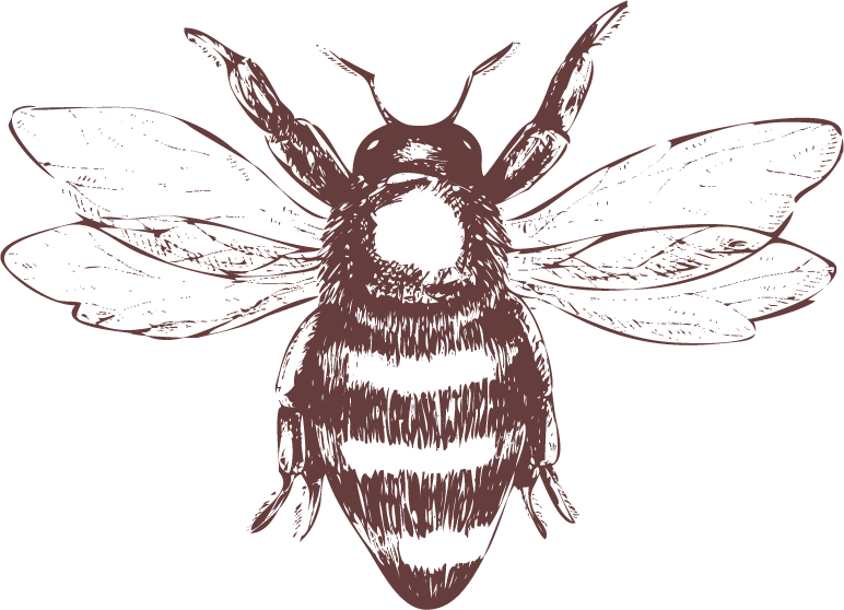 zasób 787 pasieka ihnatowe